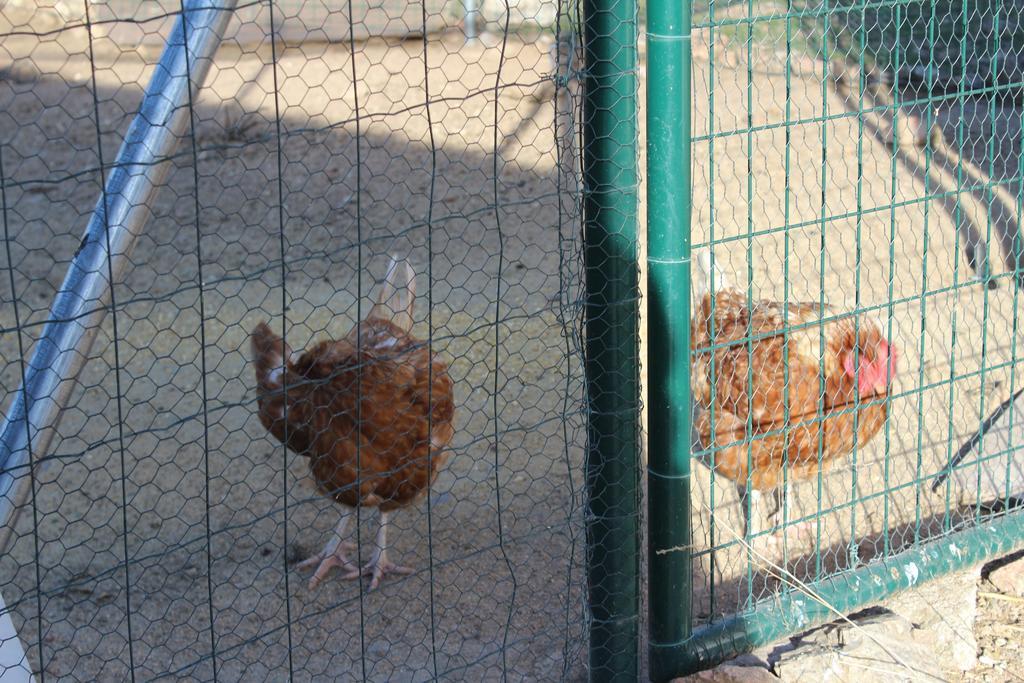Finca El Enebro Valdemorillo 外观 照片